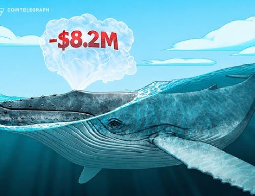 Baleia perde US$ 8,2 milhões em operação alavancada com ARC na Lighter