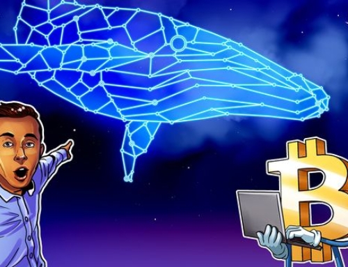 Baleias de BTC começam a acumular novamente em US$71 mil, diz santiment